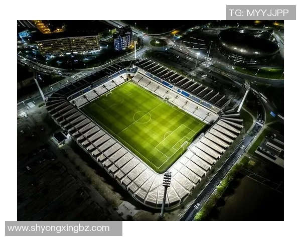 世界顶级足球球星介绍与成就盘点，解密绿茵场上的传奇与辉煌