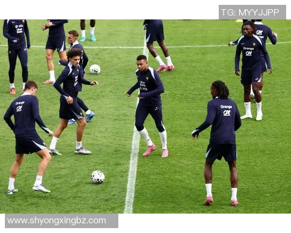 法国足球队球星盘点与他们的辉煌成就及贡献解析