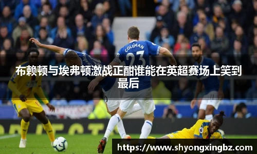 布赖顿与埃弗顿激战正酣谁能在英超赛场上笑到最后