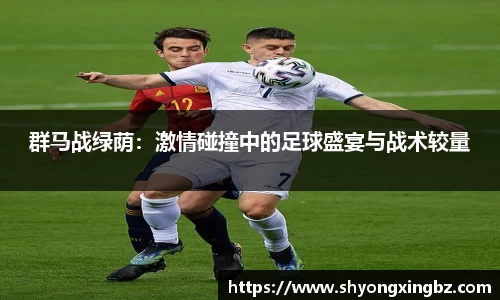 群马战绿荫：激情碰撞中的足球盛宴与战术较量