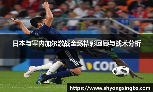 星空电竞官网